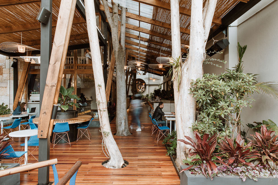 753cb8_81201a2a3ae84fe1a23808d7d50dcd33~mv2