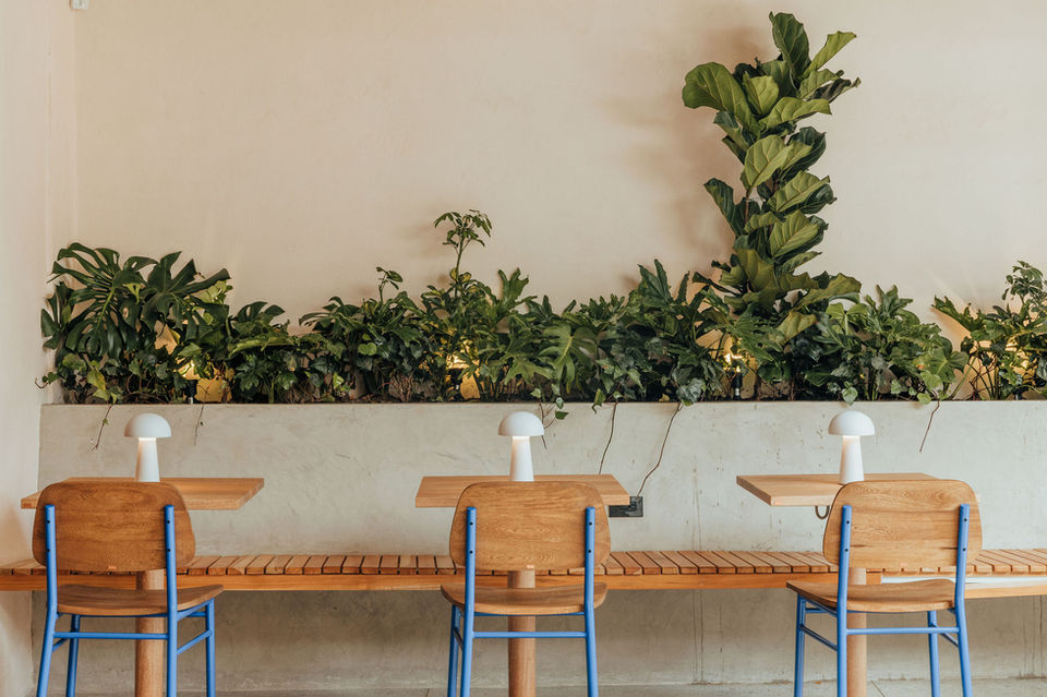 753cb8_889332363bc34dbbbf169b0b8506b046~mv2