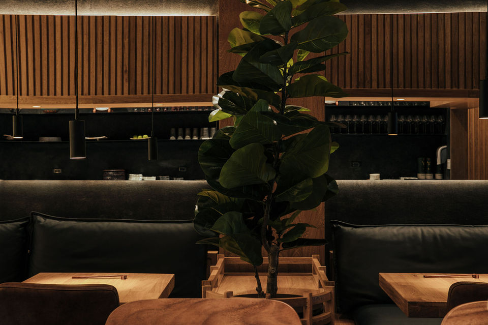 753cb8_9f2bb1f8682b434787ef45e94596d248~mv2