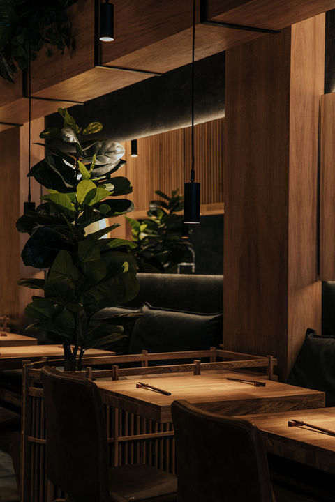 753cb8_a1d5c518c45d47b69e72b5f82133fa17~mv2