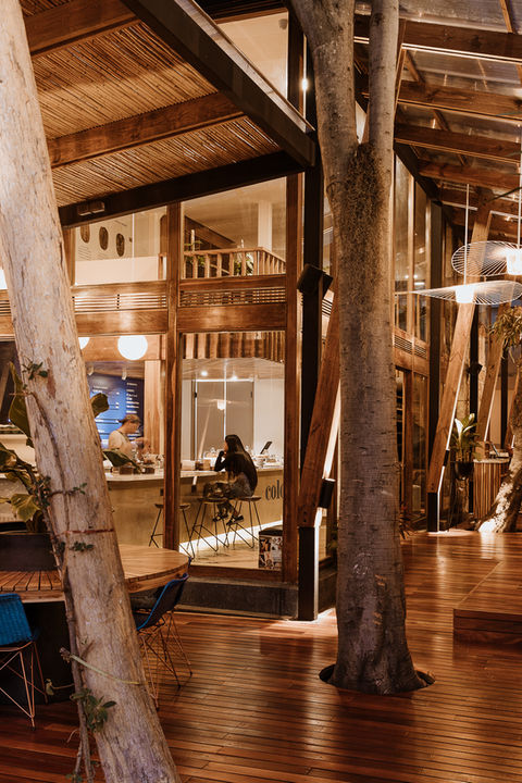 753cb8_afe9d4aa6dec495cb089bdac8e4138b2~mv2