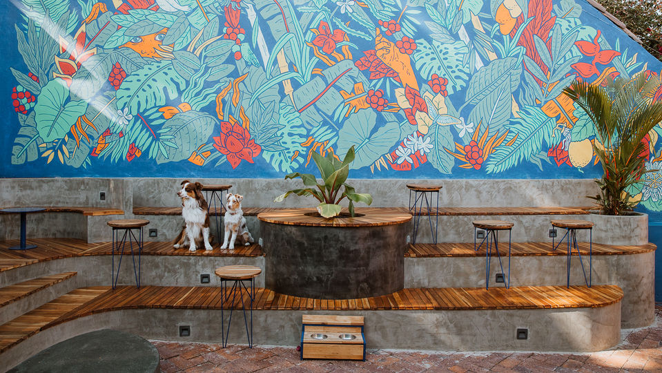 753cb8_c47133c345a4452b9497a160d888824a~mv2