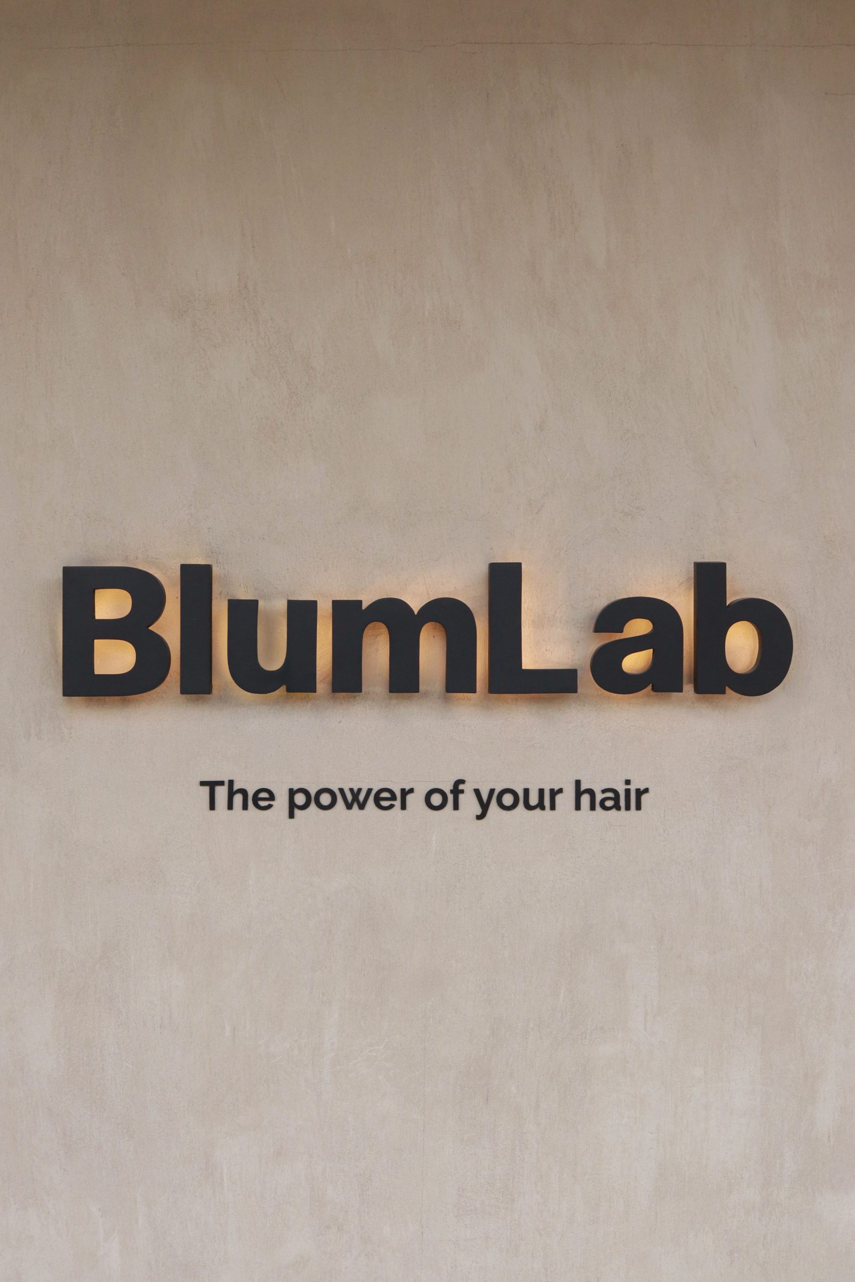 BLUMLAB 2
